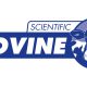 Scientific Bovine Dairy Feed