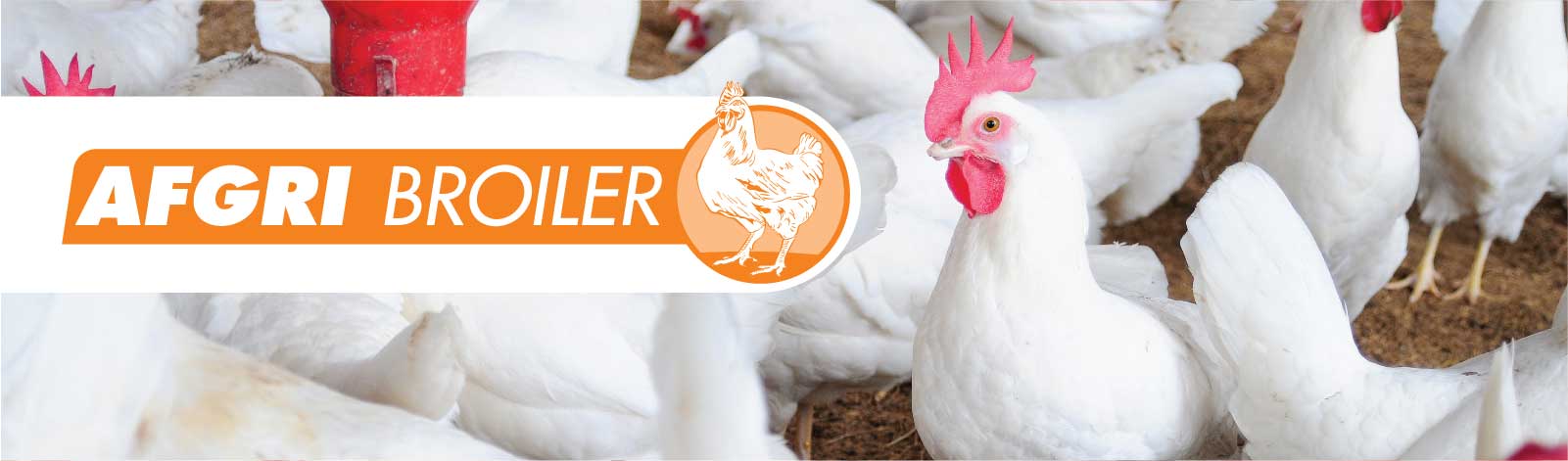 afgri-broiler-feed AFGRI-Broiler-Feed
