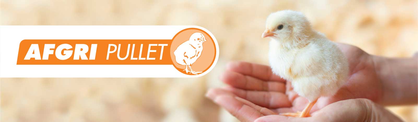 afgri-pullet-feed AFGRI-Pullet-Feed